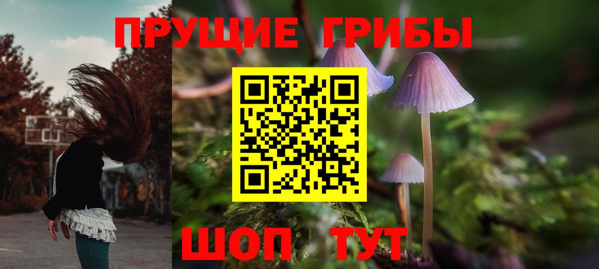 Сочи  Галлюциногенные грибы Cubensis  наркота  Вход с VPN 