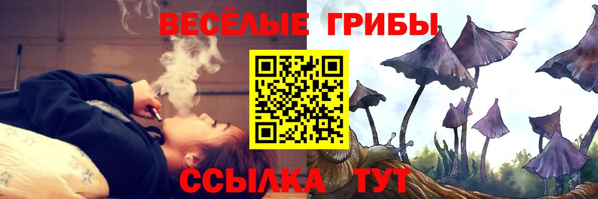 Галлюциногенные грибы Cubensis Сочи